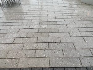 Artistic Pavers Planklock Silver Sam