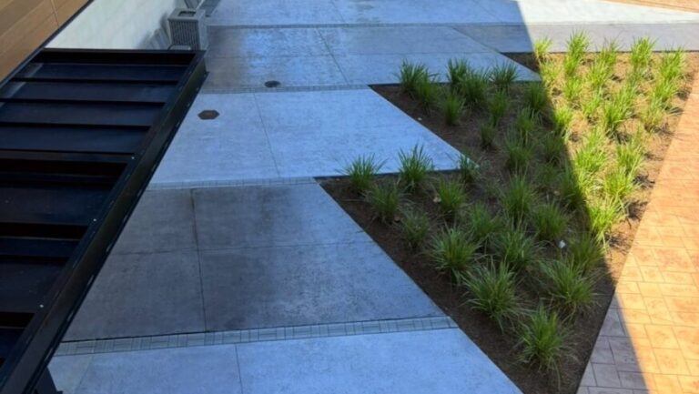 Exterior walkway with light blue-gray concrete pavers beside a planted bed of tall grasses along a building edge.